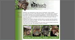 Desktop Screenshot of batreach.com